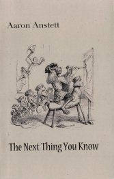 The Next Thing You Know, by Aaron Anstett