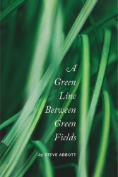 A Green Line Between Green Fields, by Steve Abbott